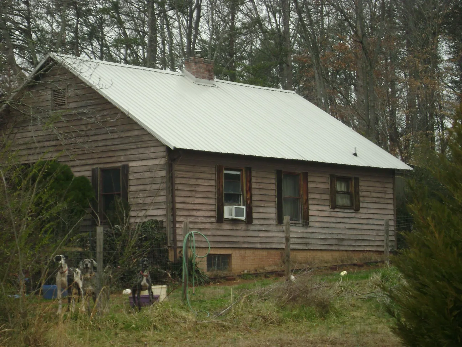 White metal roof on an old wood sided farmhouse, from a Asphalt Shingle Roof Repair job in Cable